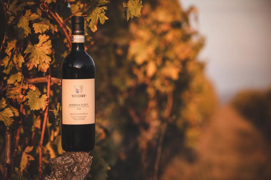 Barbera d'Asti "Cherna"