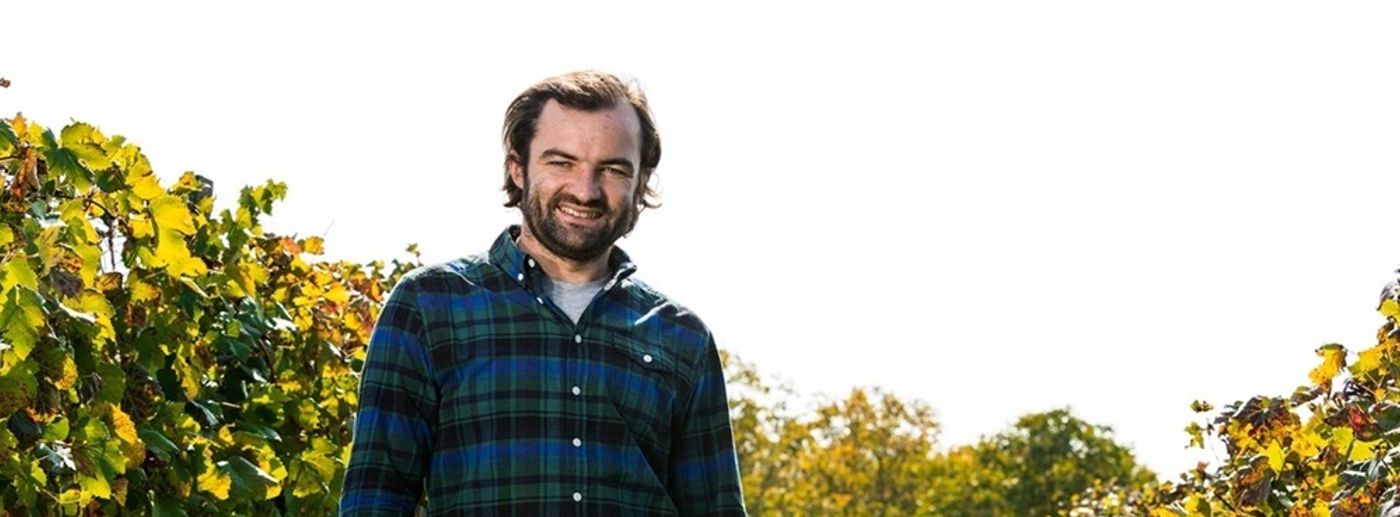 Vinory winemaker in the vineyard