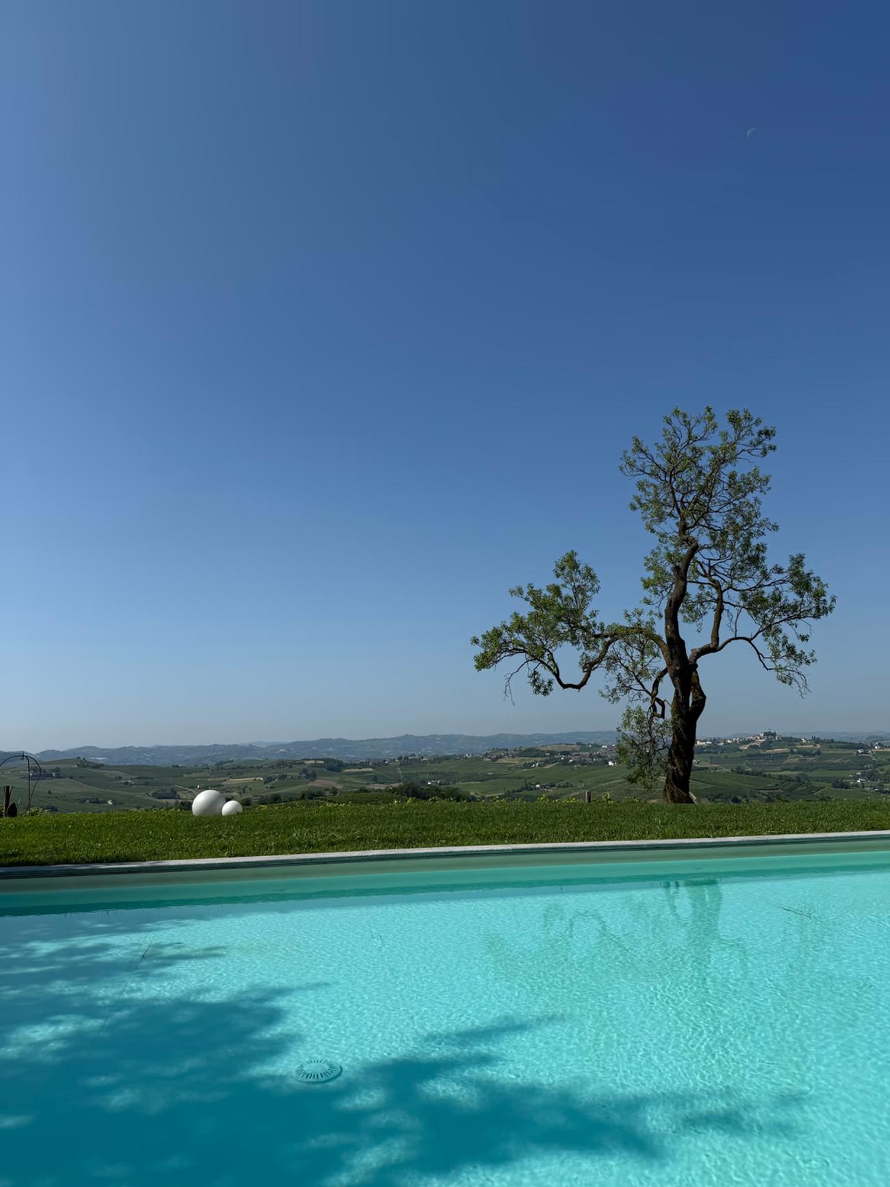 Piscina della tenuta Vinory con vista sul Piemonte