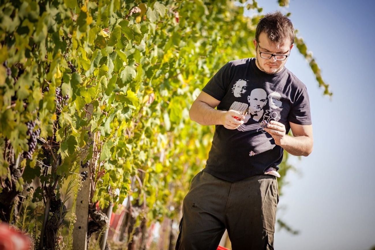 Lorenzo Olivero in the vineyard