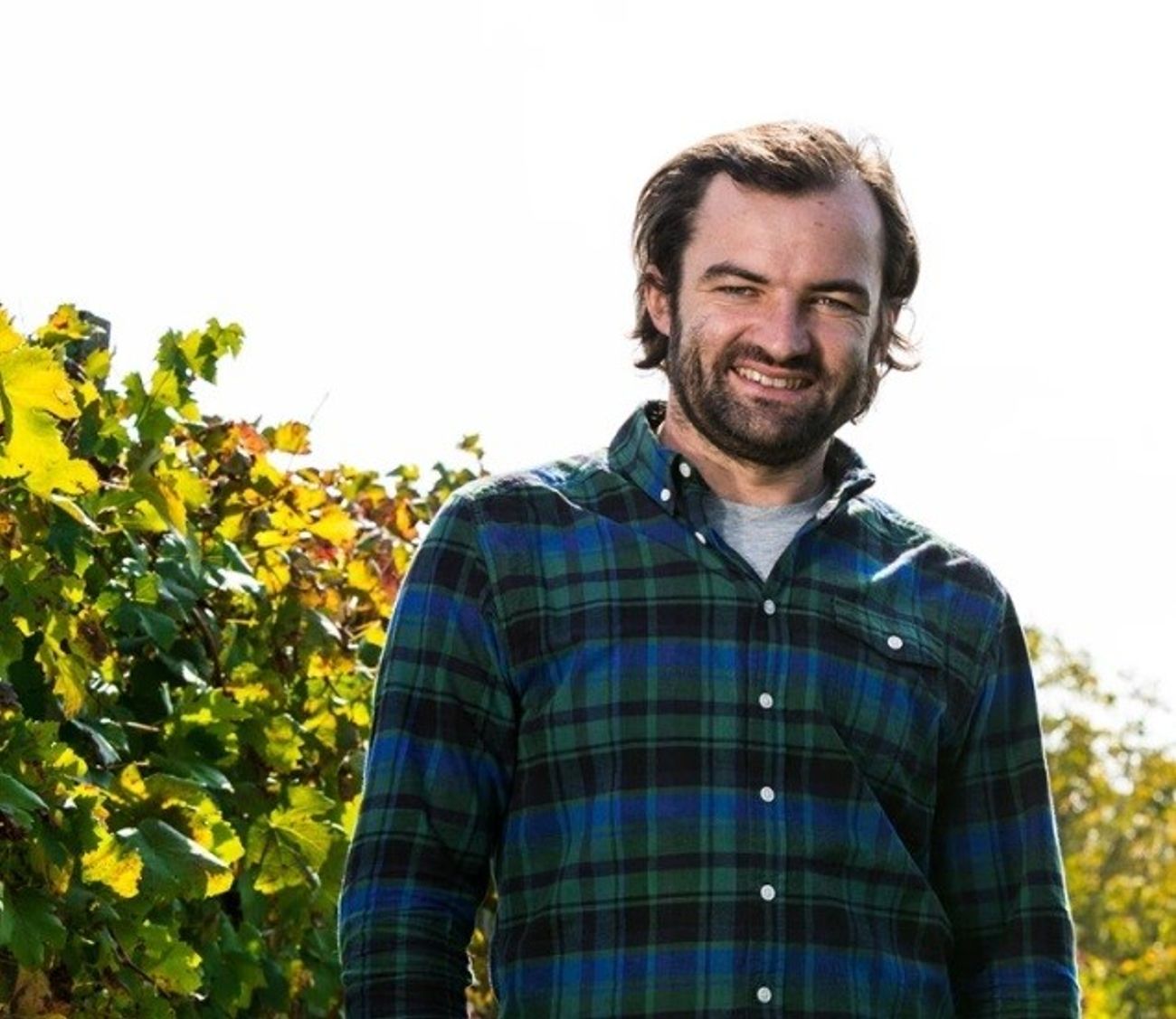 Claudio Dacasto in the vineyard