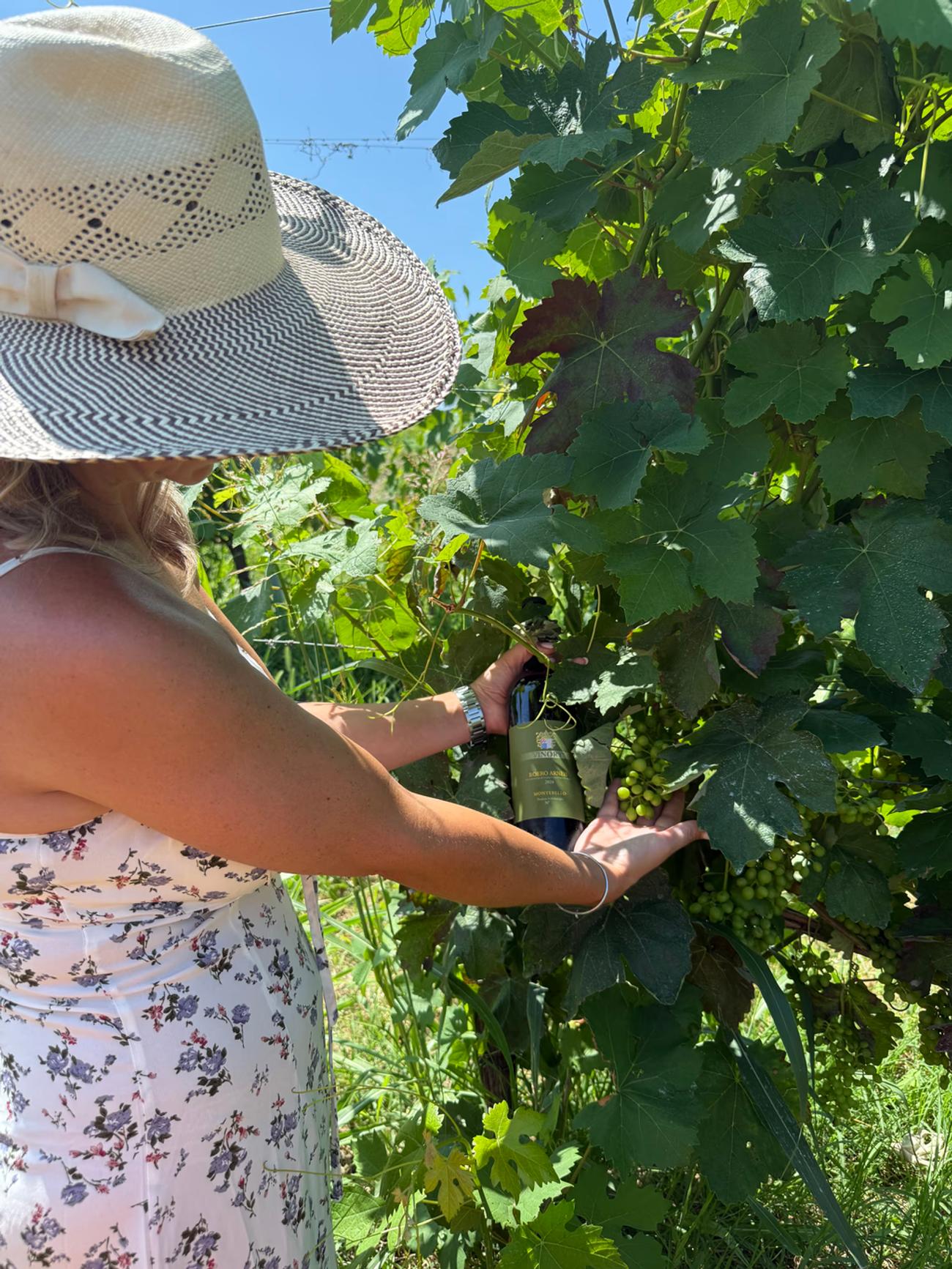 Vino Vinory tra le vigne