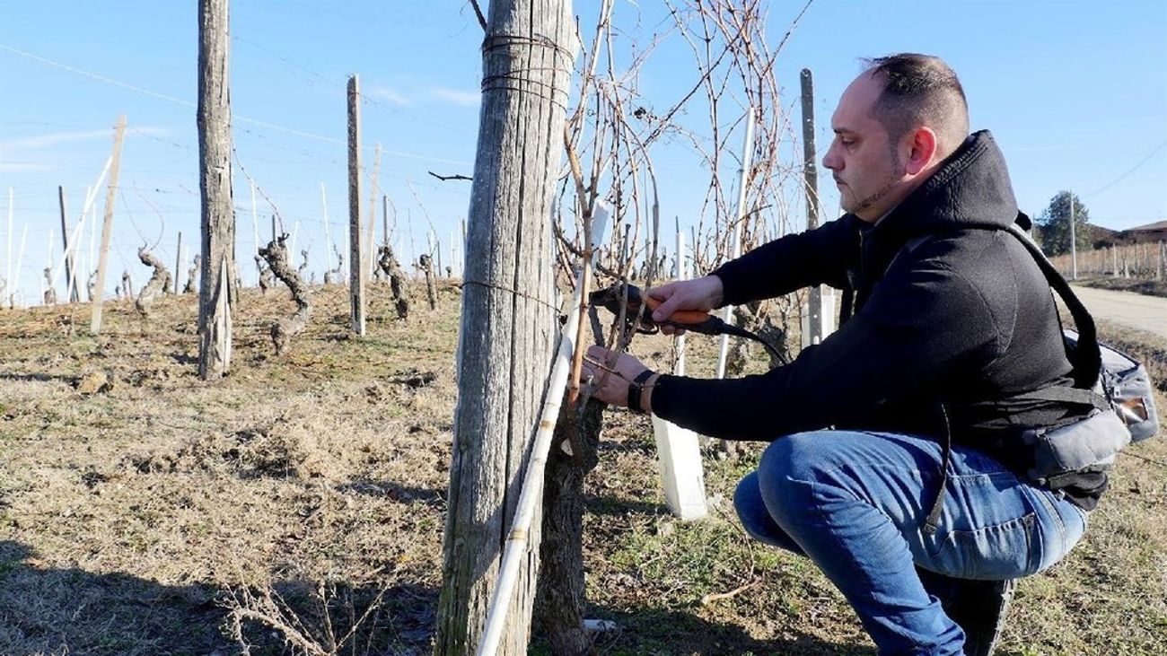 Fabrizio Ressia in the vineyard