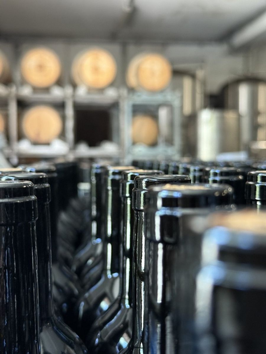 Bottles in the Vinory cellar