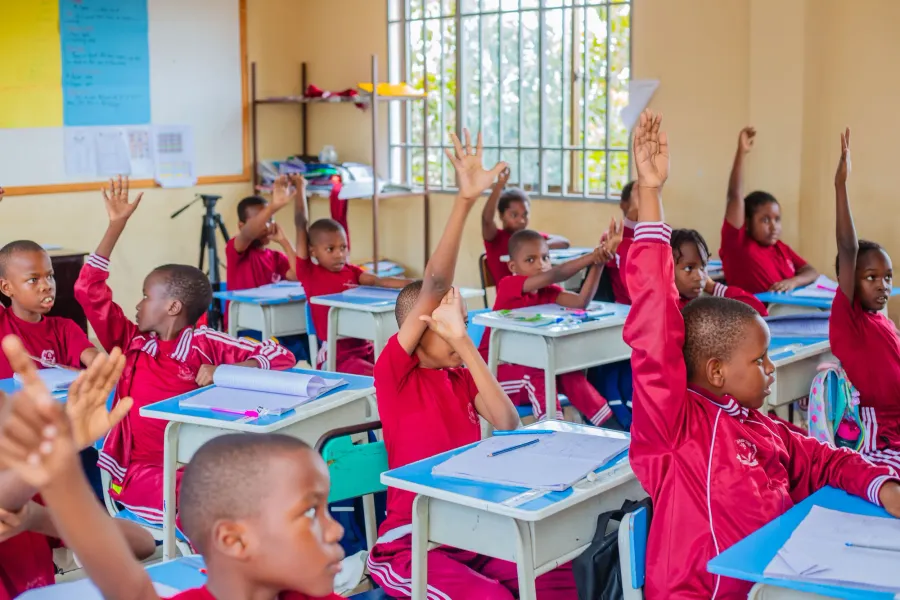 Primary School 5