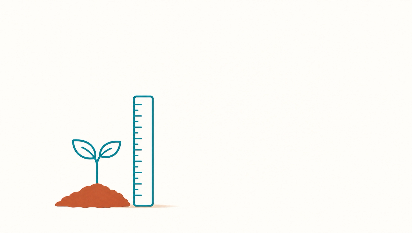 A seedling growing in soil beside an upright ruler measuring its height.