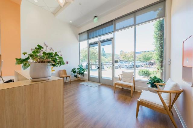 A serene waiting area in Poppy Kids Dental with a large, bright window providing a view of the parking lot outside. The room has light wooden floors and furniture, including a reception desk adorned with a large potted plant with broad leaves and white blooms. A comfortable wooden chair with a cushion sits near the entrance, beside another lush green plant. The walls are painted in soft orange and white, creating a warm and welcoming environment.