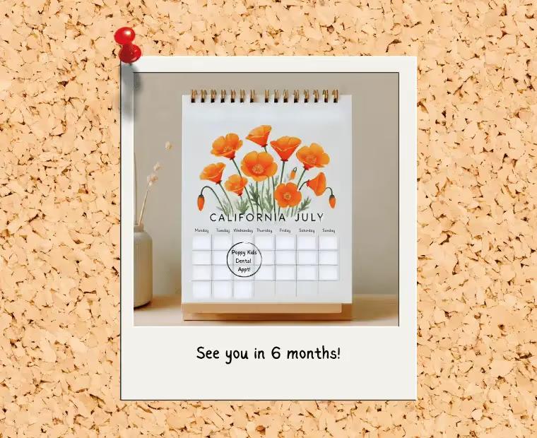 The Importance of Biannual Pediatric Dental Visits