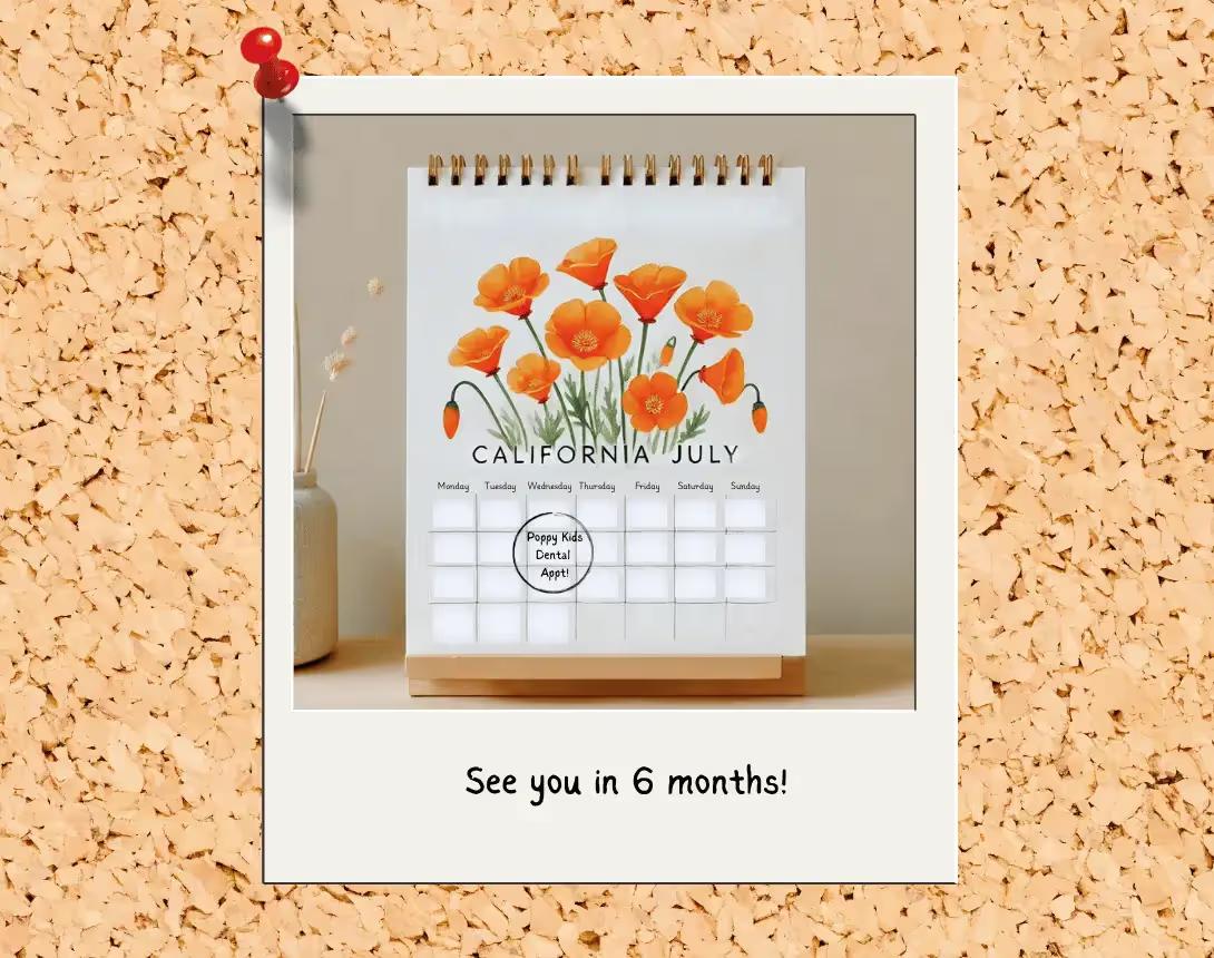 A desktop calendar featuring a floral illustration for July with a circled date marked "Poppy Kids Dental Appt." pinned to a corkboard. Below the calendar, text reads, "See you in 6 months!"