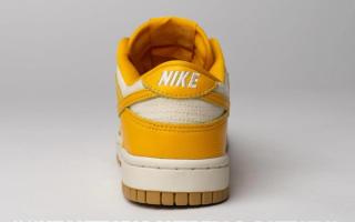 nike dunk low canvas yellow gum 5