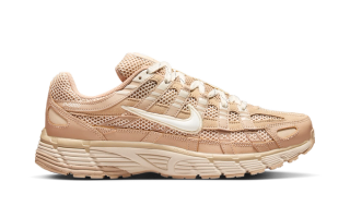 Nike P-6000 PRM "Hemp"