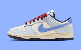 nike dunk low from nike to you fv8113 141 2