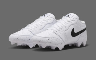 Air Jordan 1 Low TD "White/Black" Official Images.