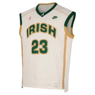 LeBron James St. Vincent–St. Mary Nike Jersey premium remake.