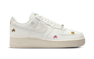 Nike Air Force 1 Low "Pegasus" (Chenille Swoosh)