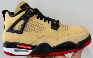 Air Jordan 4 GS "Pizza"