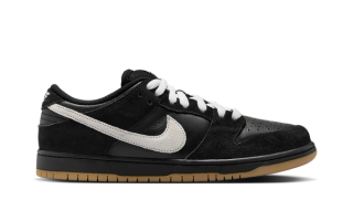 Nike SB Dunk Low Pro