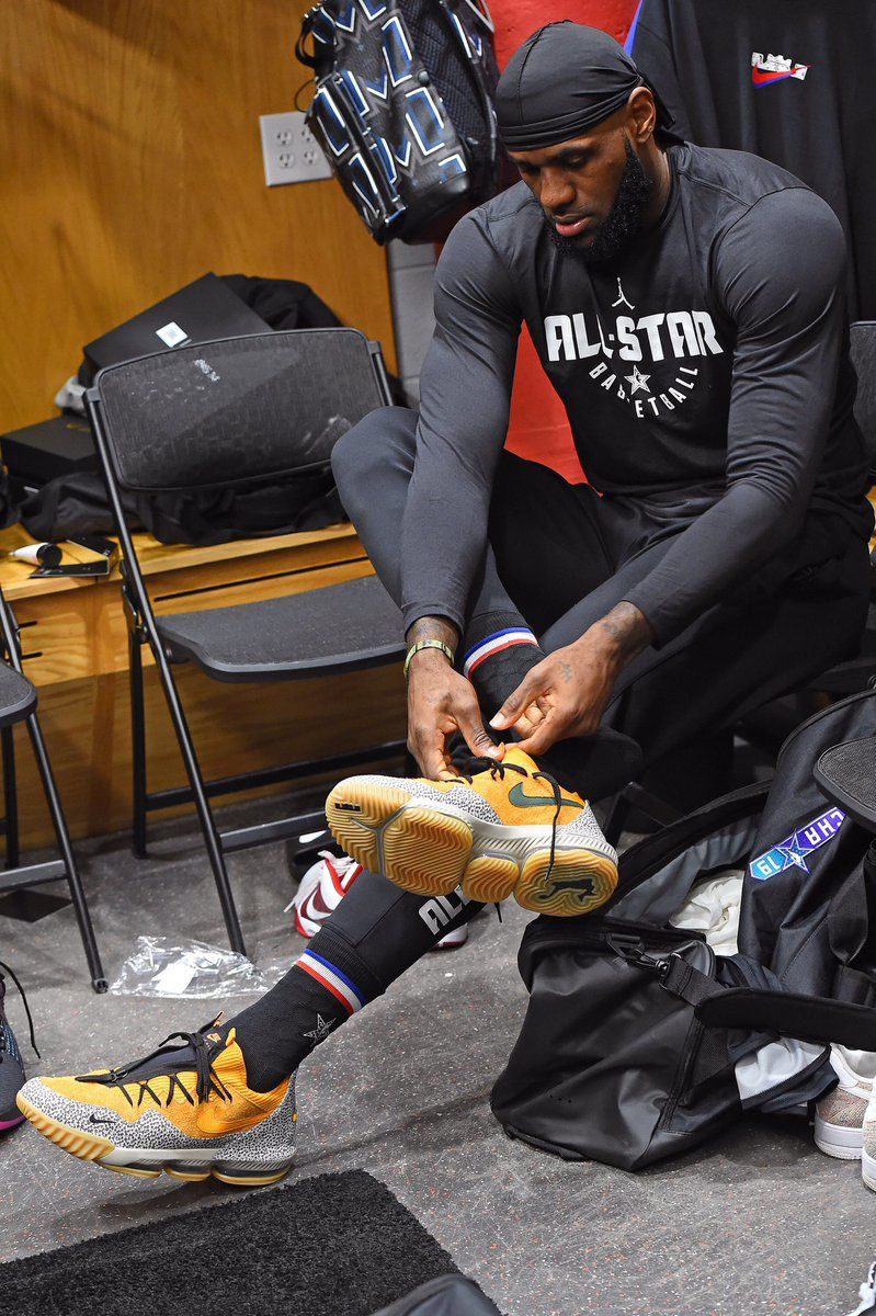 LeBron James // Nike LeBron 16 Low "Safari"