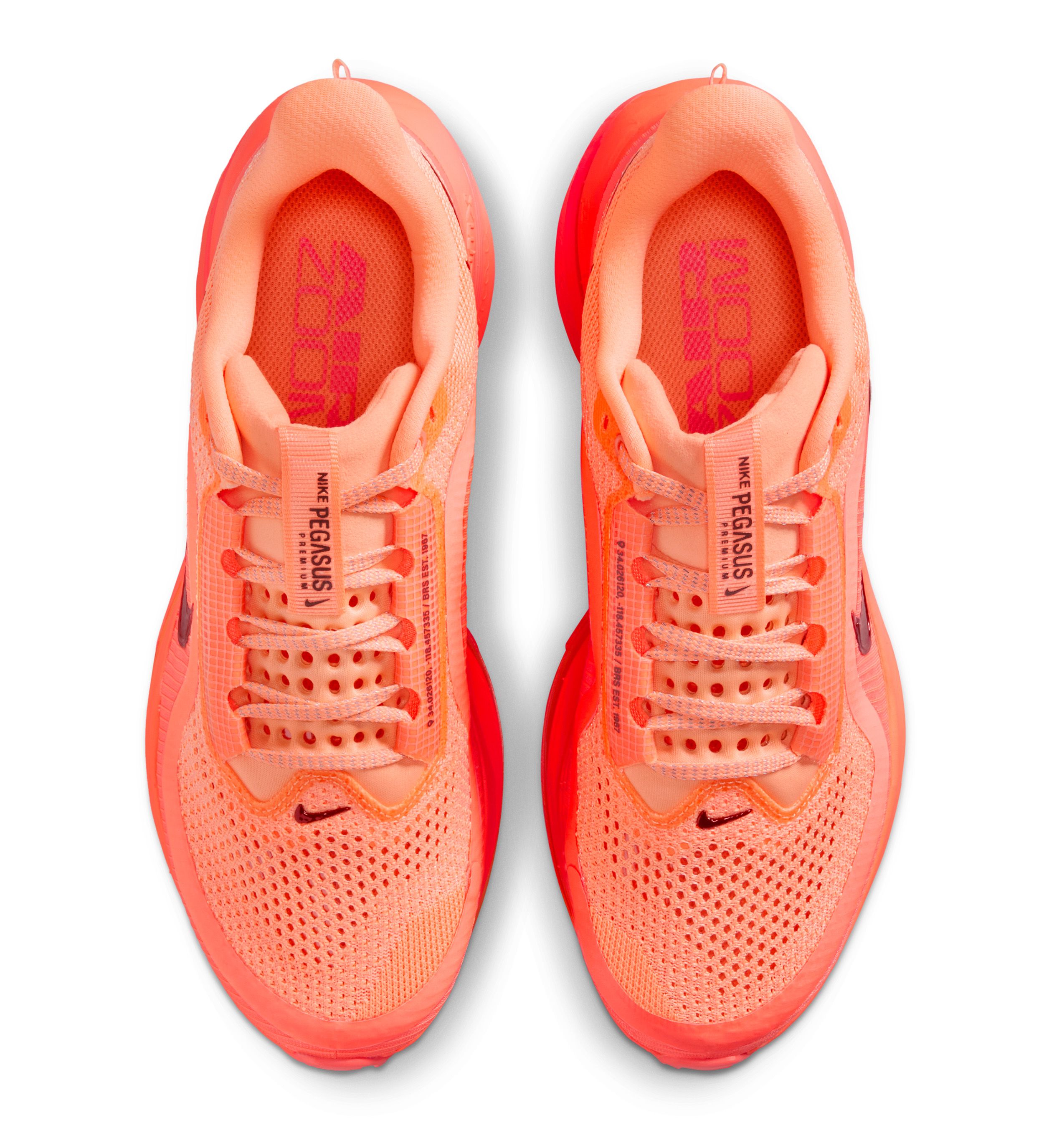 Nike Pegasus Premium 