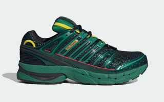 Pokémon x adidas Adistar Control 5 "Rayquaza" (SKU: KI8179)