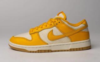 nike dunk low canvas yellow gum 4
