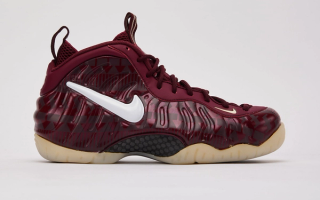 Nike Air Foamposite Pro "FSU" (College Football Pack)