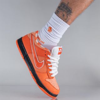 Where to Buy the Concepts x Nike SB Dunk Low “Orange Lobster” | House ...