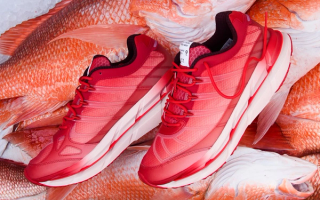 Sneaker Politics x Adidas Originals Adistar HRMY "Red Snapper" collaboration.