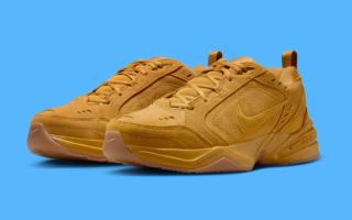 Nike Air Monarch IV in a seasonal "Wheat" color scheme.