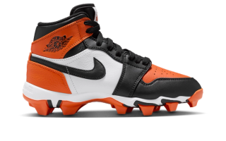Air Jordan 1 Mid TD "Shattered Backboard"