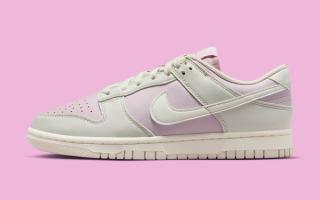 nike dunk low next nature dd1873 001 2