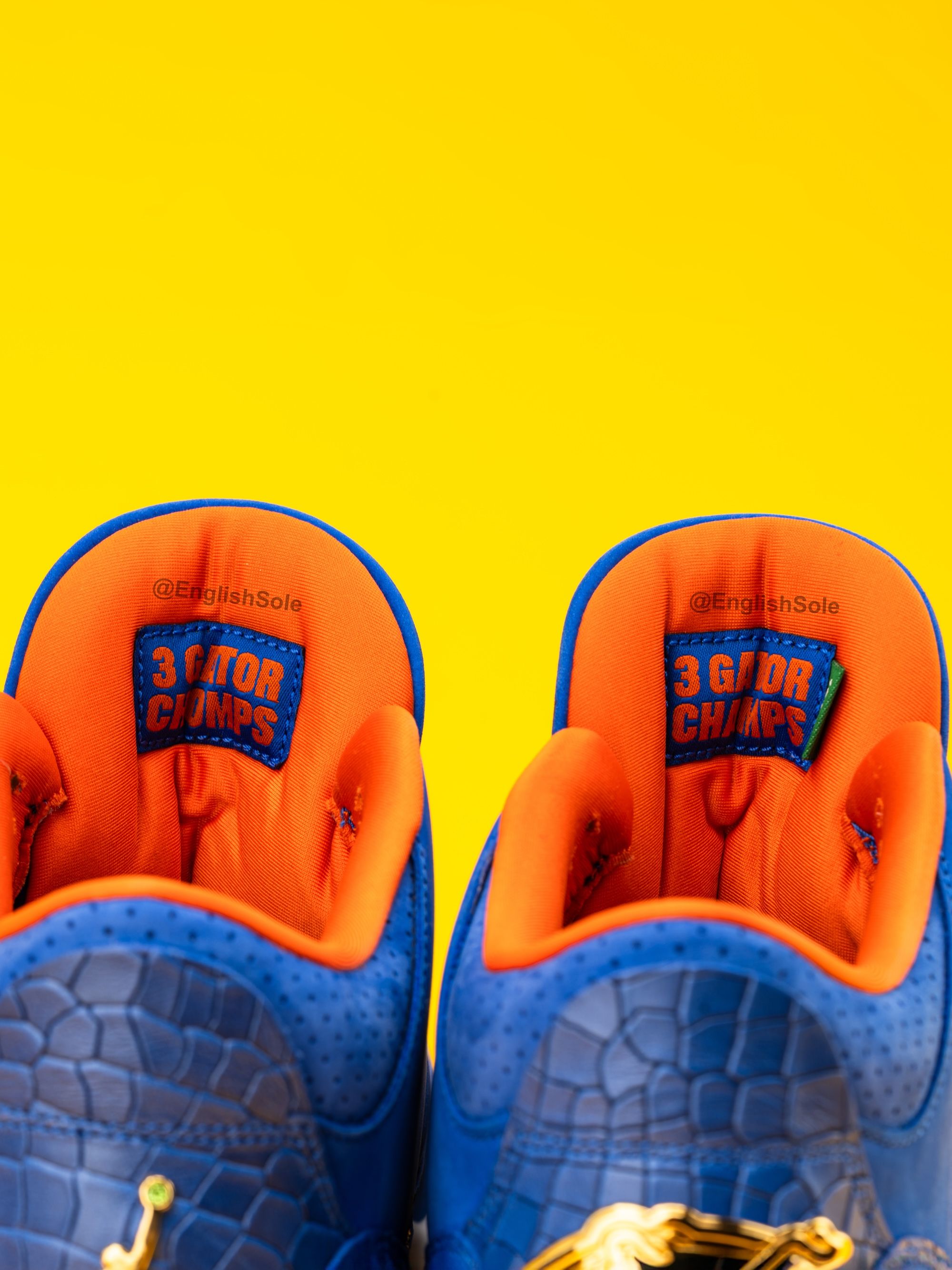 Air Jordan 3 P.E. gifted to the Florida Gators Men's Basketball Team for winning the NCAA 2024-2025 Championship. Photo via Instagram user @EnglishSole.