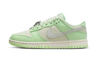 nike Downshifter dunk low next nature sea glass fn6344 001 2