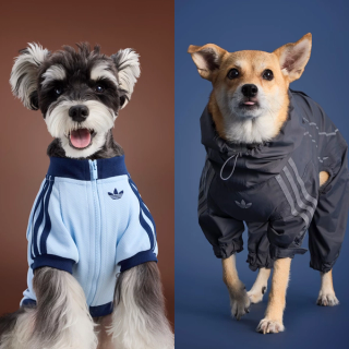 adidas Originals Launches Second Pet Collection, Exclusive to China