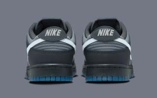Nike Dunk Low Anthracite FV0384-001 Release