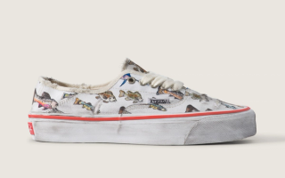 Vansza Authentic Kickdown
