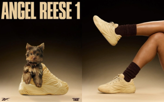 Reebok Angel Reese 1 "Tiago" basketball shoe (wheat) inspired by the WNBA player's teacup Yorkie.