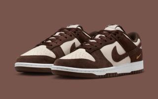Nike’s Next Dunk Low Serves Up Perfect Shades of Brown