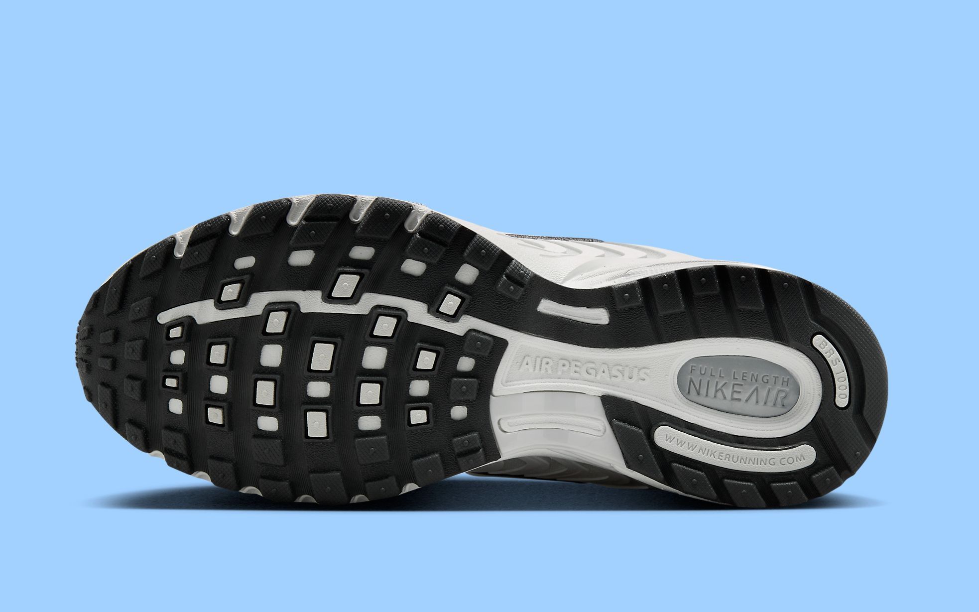 The Nike Air Pegasus 2K5 Surfaces in 