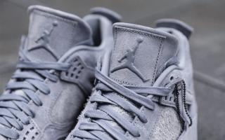 KAWS x Air Jordan 4 "Cool Grey"