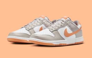 The Nike Dunk Low Reappears with "Kumquat"-Like Swooshes