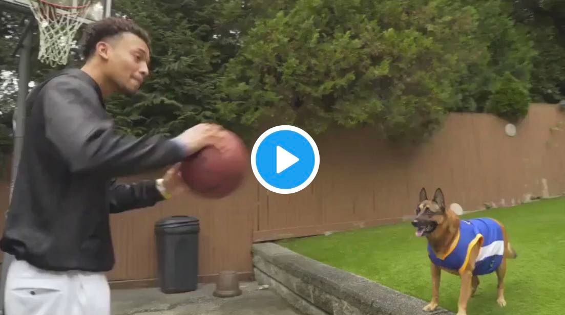 VIDEO // Watch Dog Give The Perfect Alley-Oop Pass | House Of Heat°