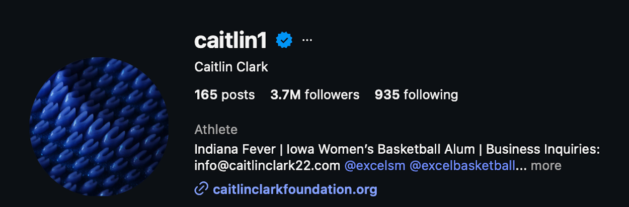 @caitlin1 Instagram handle & new profile photo. Screenshot via Caitlin Clark on Instagram.