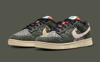 nike dunk low rainbow trout fn7523 300 release date 1 1