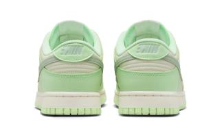 nike Downshifter dunk low next nature sea glass fn6344 001 5