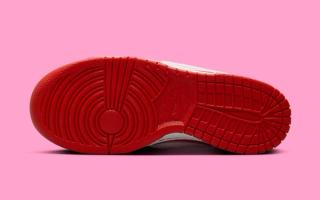 sole mates nike lebron dunk low valentines day 2024 6