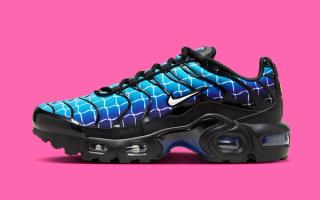 Chain Link Fence Graphics Cover this New Nike Air Max Plus