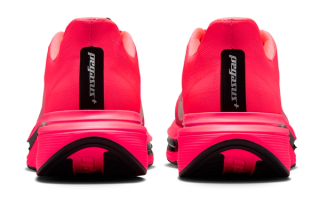 Men's Nike Pegasus Plus 2 "Flash Crimson" (SKU: IM2541-600). Photo via Nike.