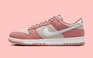 New Canvas-Clad Nike Dunk Low Rocks Red Stardust and Sanddrift