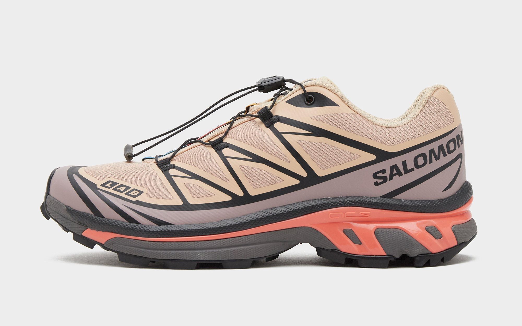 The Salomon XT-6 